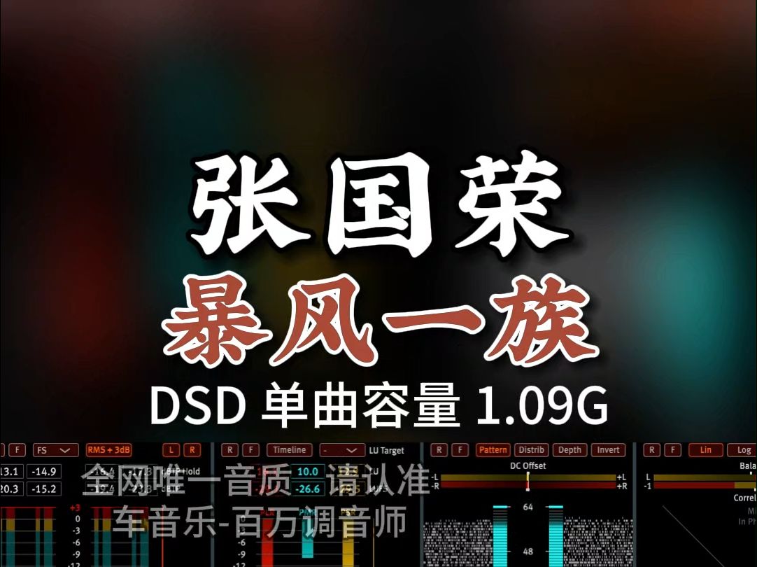 经典粤语劲歌金曲,好听之极!张国荣《暴风一族》DSD完整版1.09G,百万调音师专业录音棚制作,顶级hifi无损音质哔哩哔哩bilibili