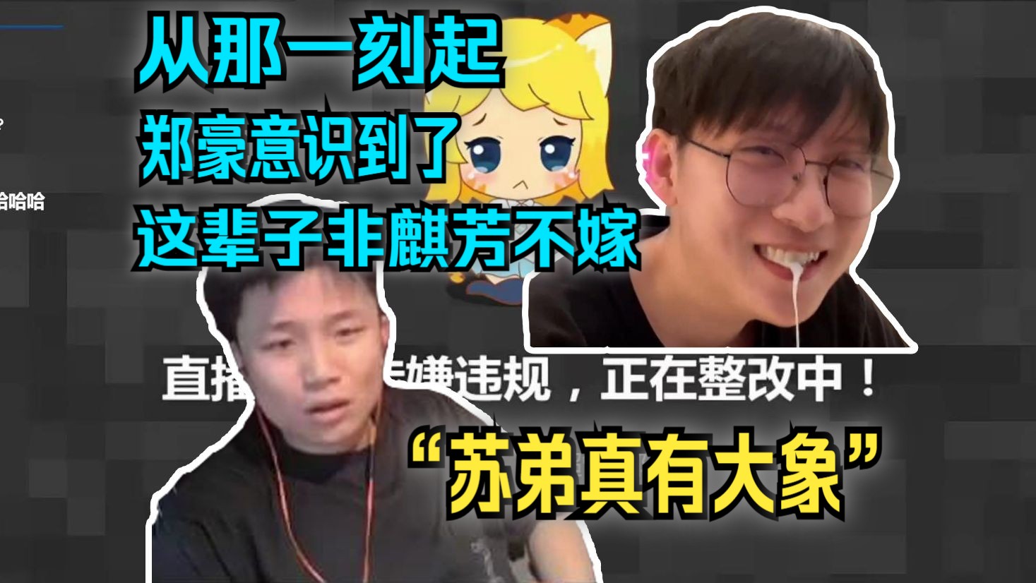 DANK1NG苏弟解说韩国冠军赛,GENG把SEN当鱼炸,蛋透露苏弟是象鼻直播间直接被封-小凡ov0-小凡ov0-哔哩哔哩视频