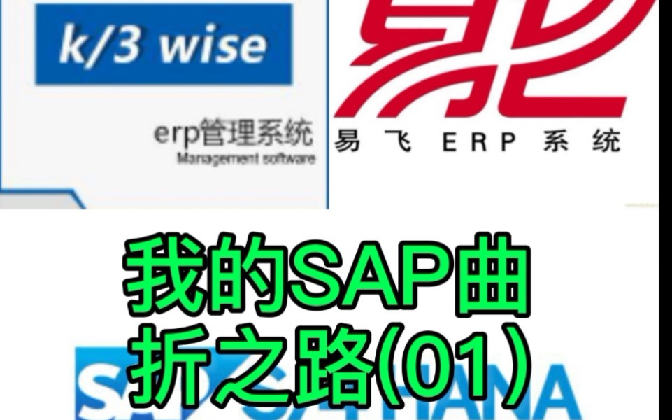 财务会计 sap入门 erp入门 sap fico 改变生活哔哩哔哩bilibili