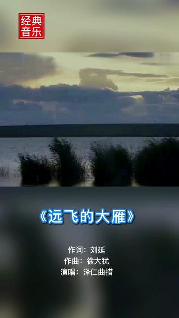 《远飞的大雁》 藏族歌手泽仁曲措演唱哔哩哔哩bilibili