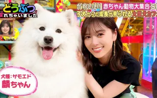 ウラ撮れちゃいました21 11 18 哔哩哔哩 Bilibili