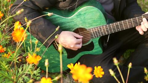 陈亮 无题 在湘湖花海里释放程序猿小老弟的少女心 哔哩哔哩 Bilibili