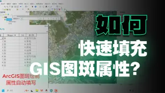 ArcGIS图斑绘制属性自动输入