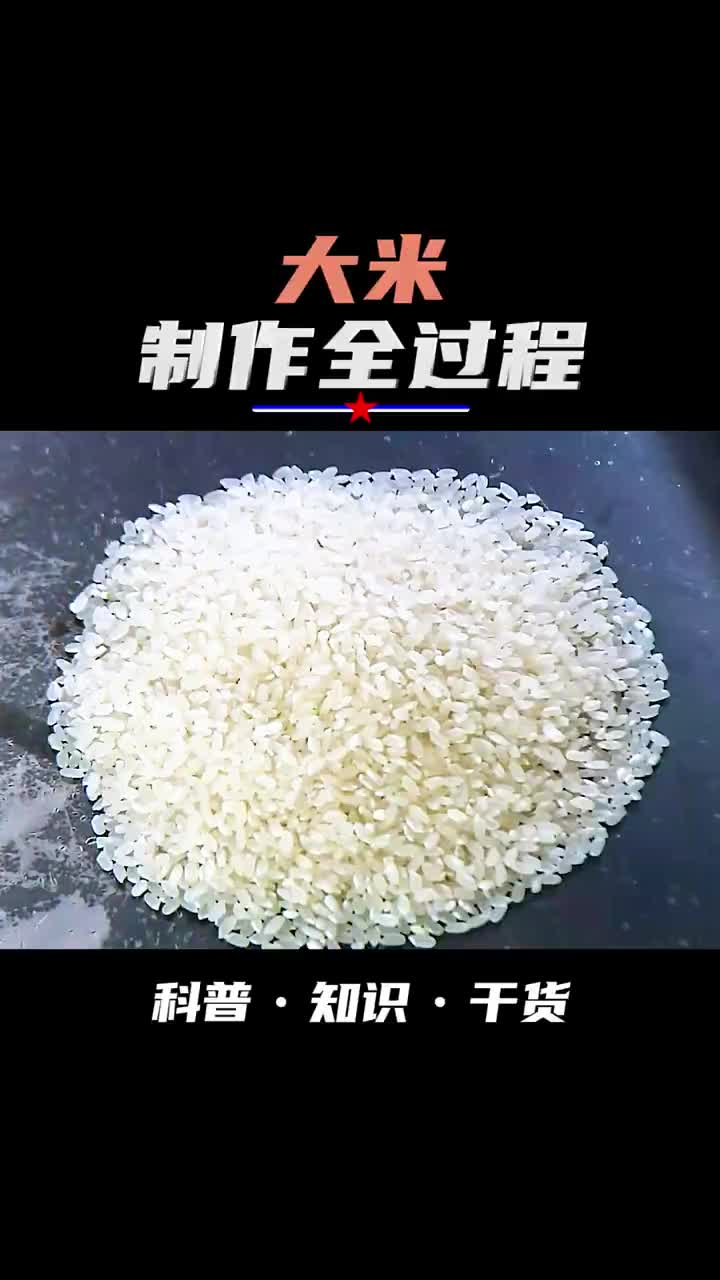 水稻变成大米的全过程制作加工全过程