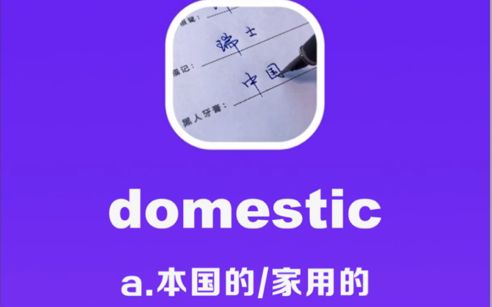 domestic:本国的,家用的哔哩哔哩bilibili