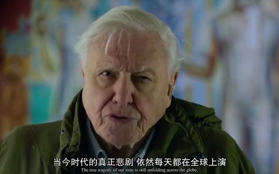 [图]中英文字幕《大卫·爱登堡：我在地球上的这一生 David Attenborough- A Life on Our Planet》