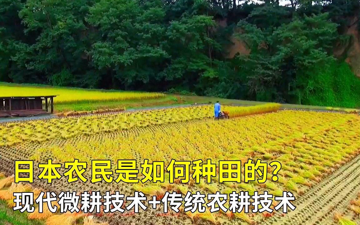 [图]日本农民是如何种田的？现代微耕技术+传统农耕技术，不得不服！