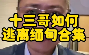 Tải video: 十三哥是如何从园区逃出来的时候的（合集）