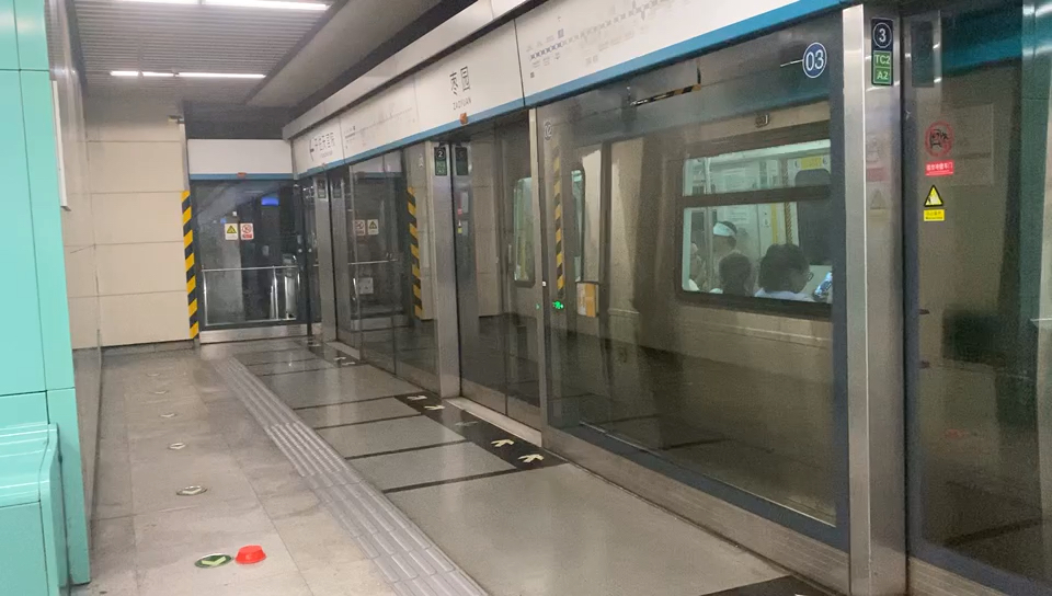 【bjmtr】4号线大兴线014下行枣园出站