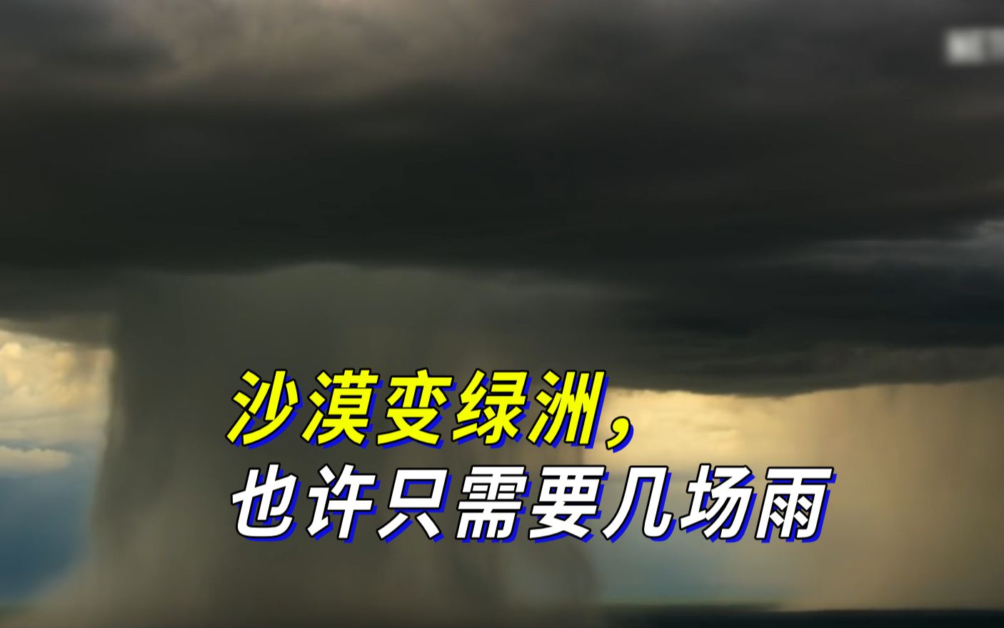 沙漠变绿洲,也许只需要几场雨哔哩哔哩bilibili