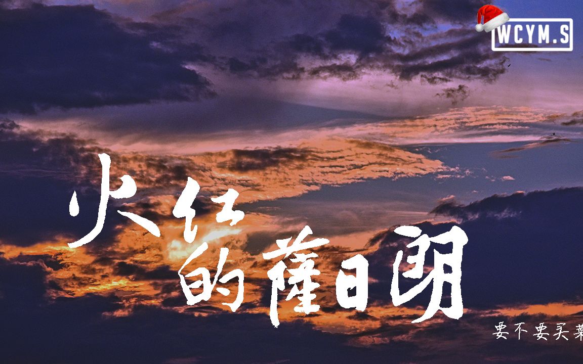 要不要买菜  火红的萨日朗【动态歌词/Lyrics Video】哔哩哔哩bilibili