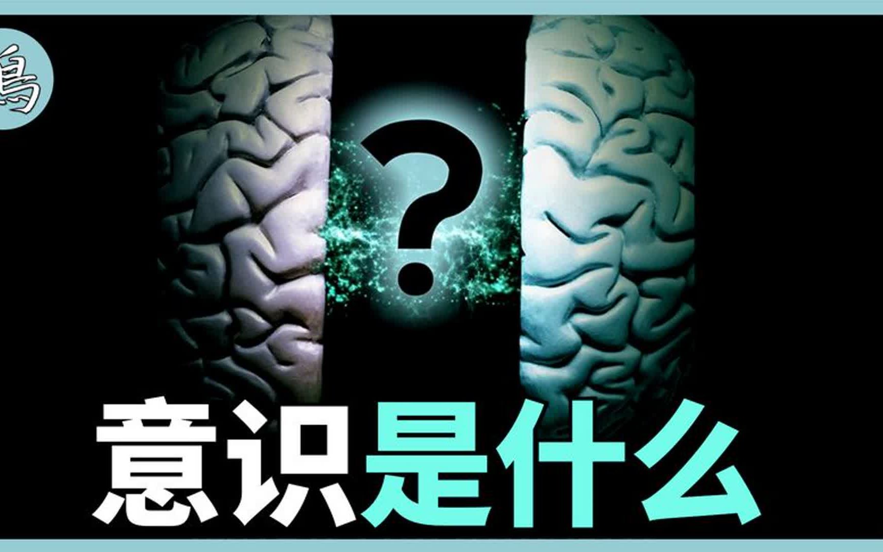 意识是什么,脱离大脑能产生意识吗?科学家揭开最新迷团哔哩哔哩bilibili