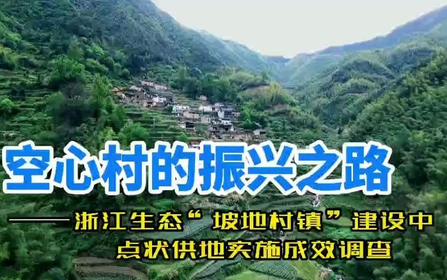 【上B站,调研中国】点状供地,助力乡村振兴#空心村的再生哔哩哔哩bilibili