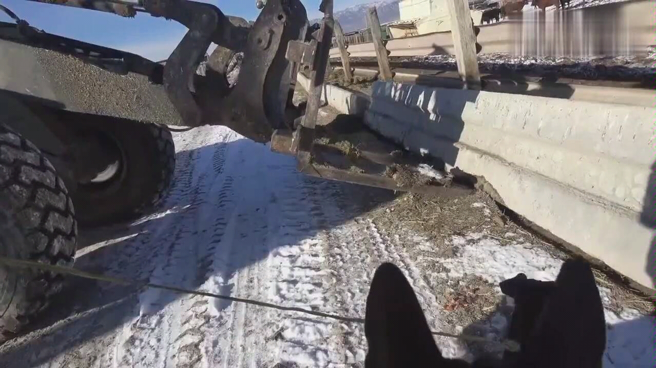 老鼠:大型灾难片!