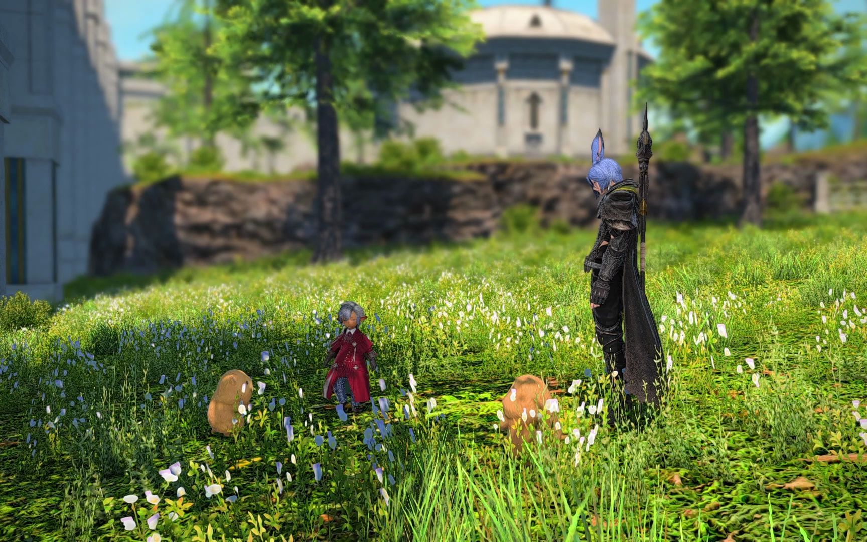 ff14萨雷安支线主线迷津大河狸后续