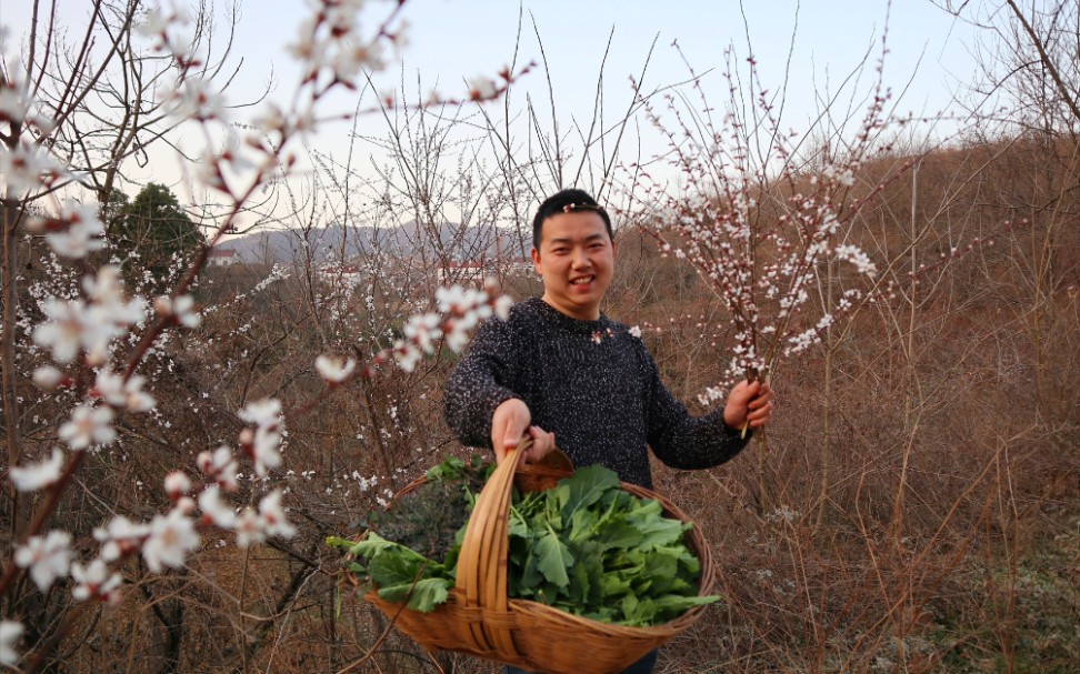 踏春啦,漫山遍野的山野菜菜薹,阿松直呼摘都摘不完哔哩哔哩bilibili