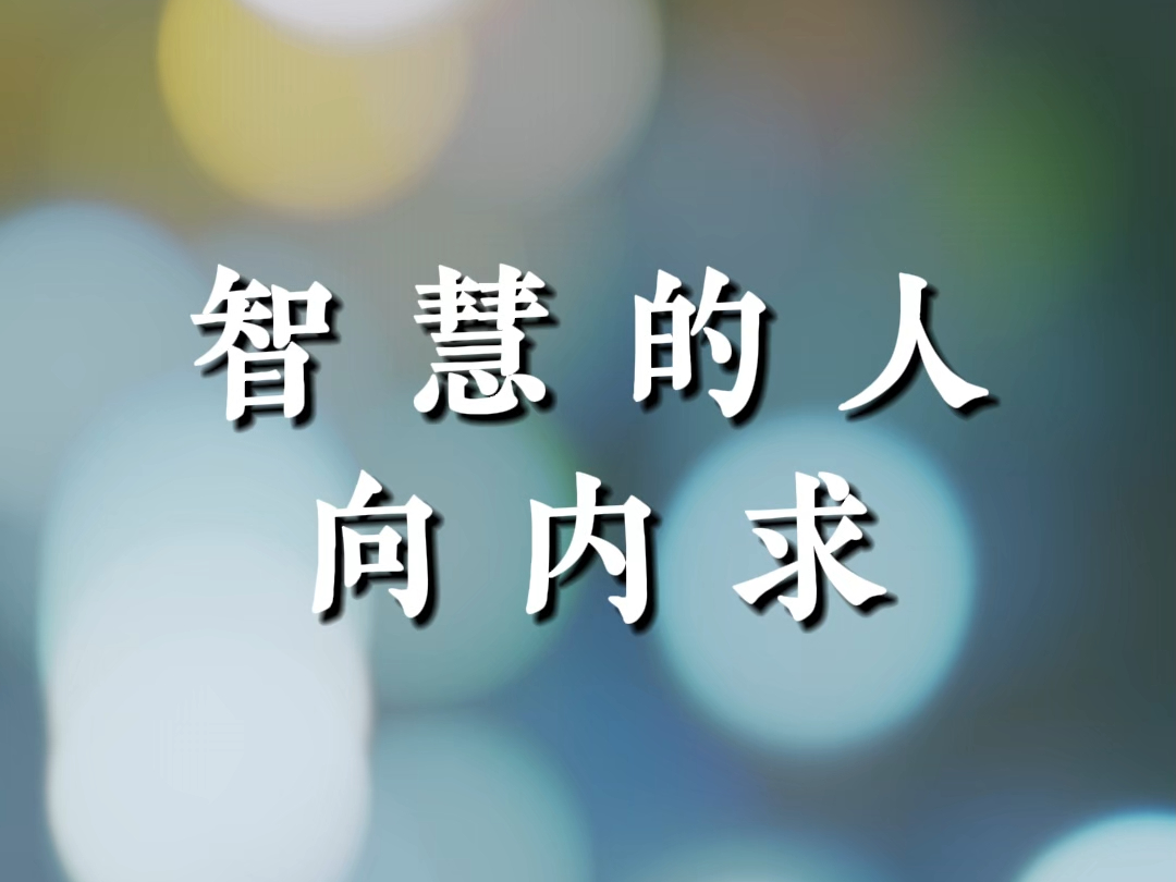 智慧的人,向内求,向前看,向阳生 #国学智慧 #修心修行 #传统文化 #人生是一场修行 #禅悟人生哔哩哔哩bilibili