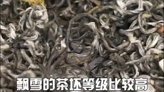 Descargar video: 高端和口粮茉莉花茶的区别