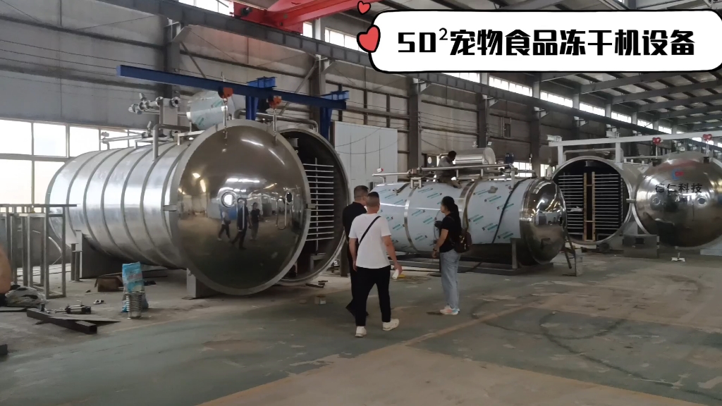 鸡肉粒真空冻干机厂家/50平方冻干机设备