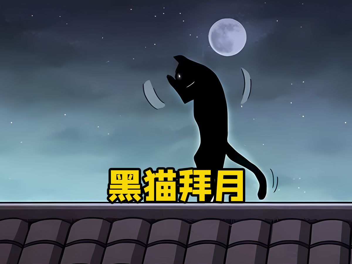 有种说法叫养猫不过七,传说只要猫过了这个年限,很有可能会修炼成精