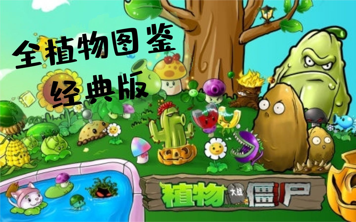 《Plants VS Zombies/植物大战僵尸》全植物图鉴 来看一看植物们的自述吧~哔哩哔哩bilibili