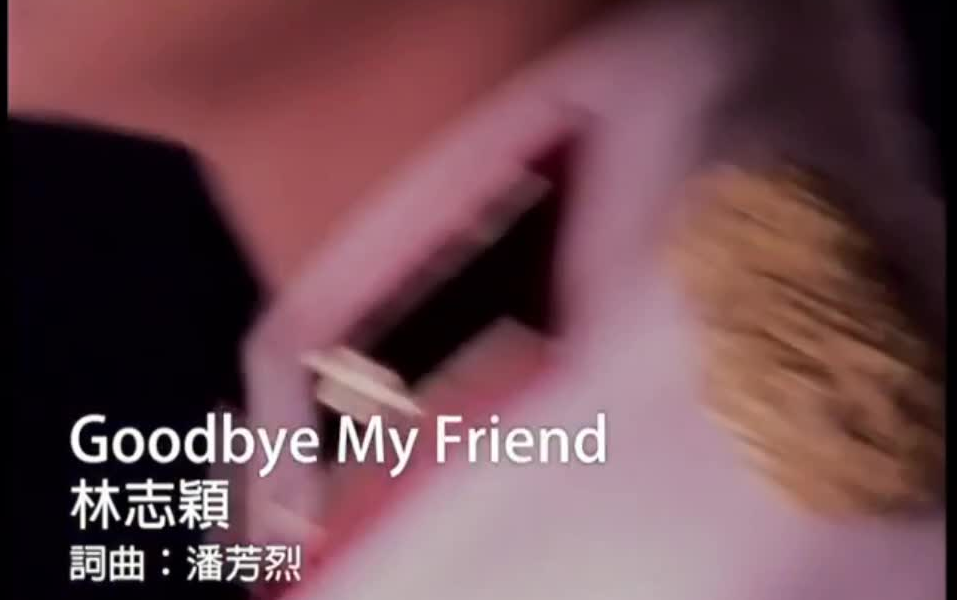 [图]【万利达卡拉OK版】林志颖 - Goodbye My Friend