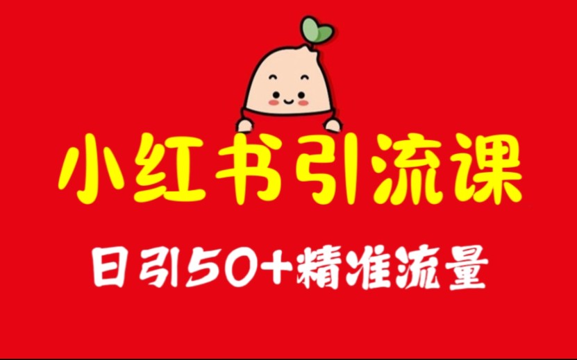 非常适合新手的小红书引流教程,日引50+精准流量,小红书引流方法+引流技术+引流工具哔哩哔哩bilibili