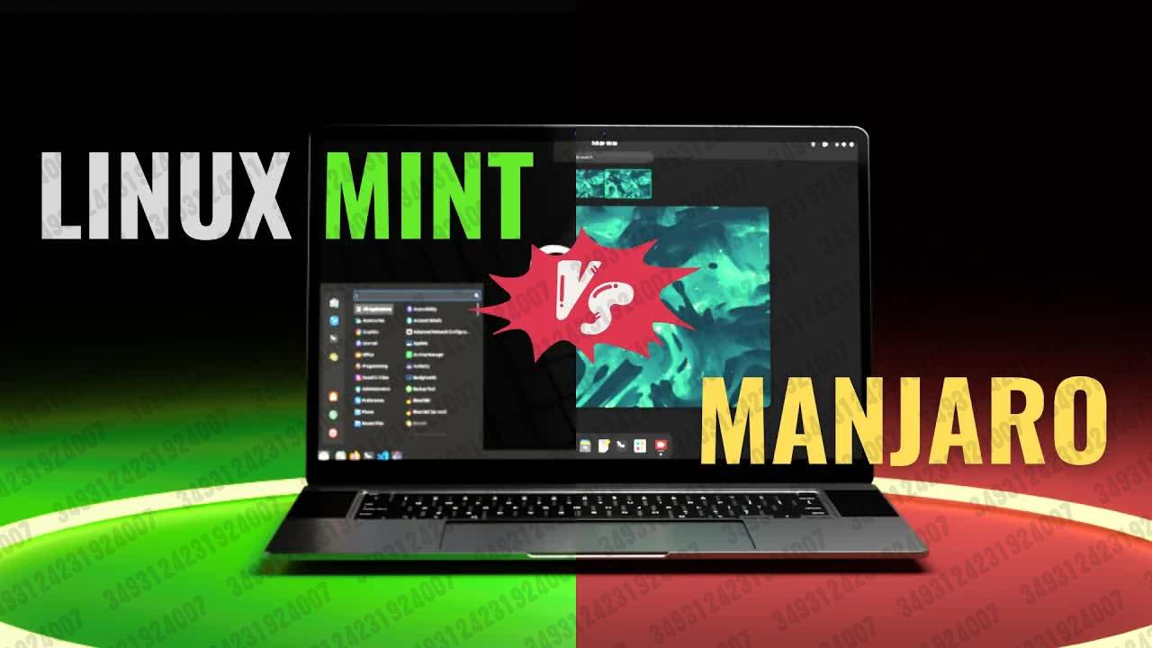 30 【linux tex】我在同一台机器上安装了 linux mint 和 manjaro