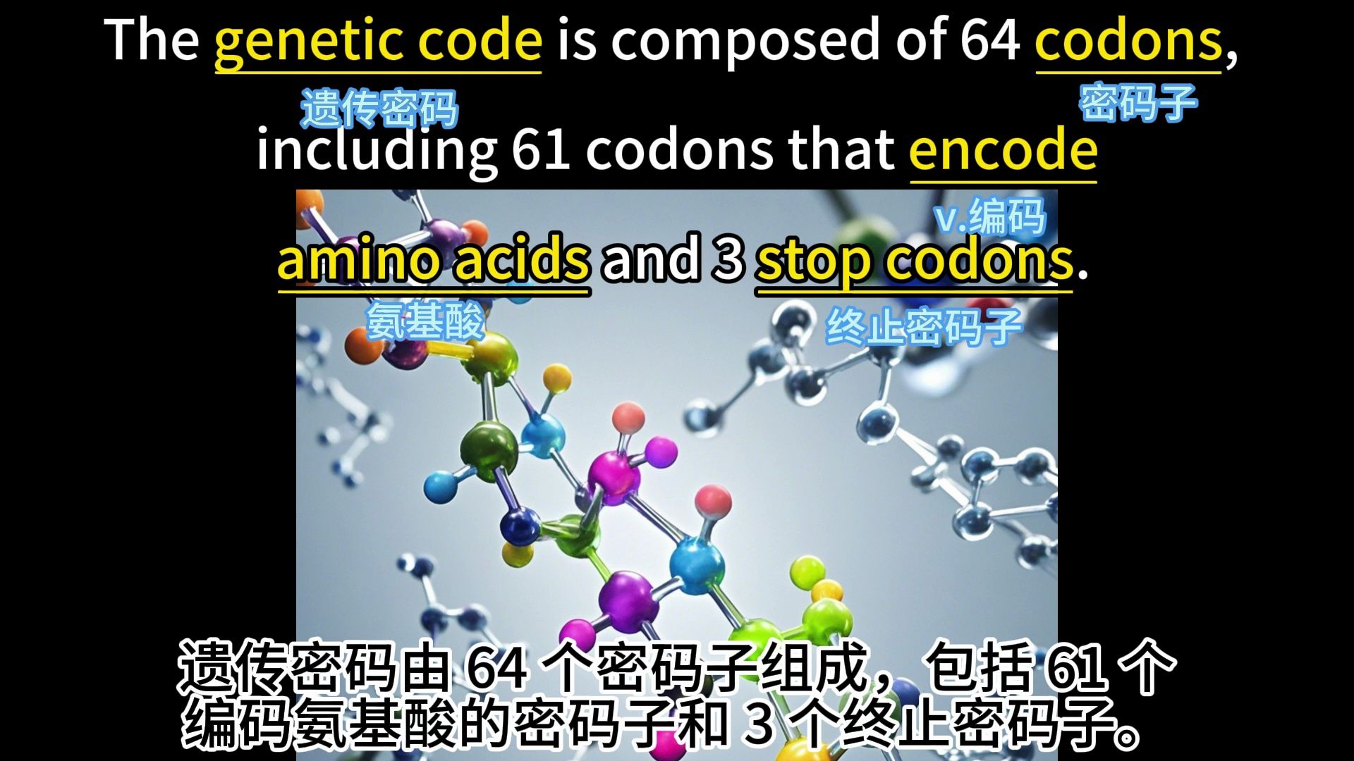 𐟎ˆ生物专业单词视频,开启学霸模式𐟒嶩deo15,从今天开始吧!哔哩哔哩bilibili