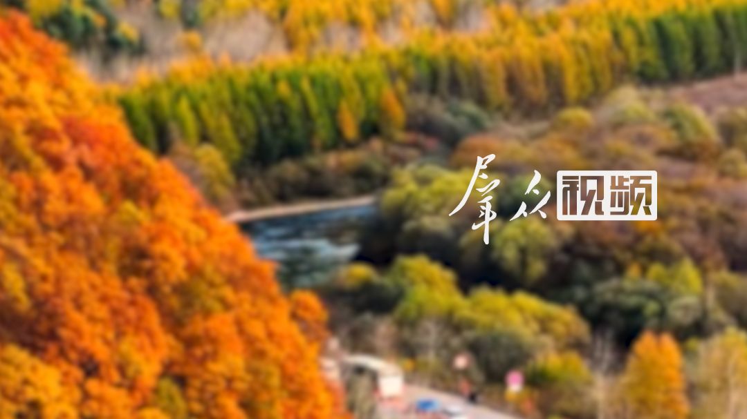 游客一进县城就收到文旅局长的姓名和个人手机号，工作人员：是真的，只为方便游客反映问题。