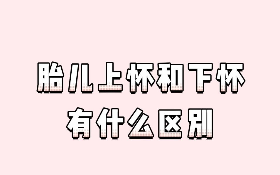 胎儿上怀和下怀有什么区别哔哩哔哩bilibili