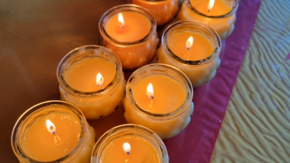 自制酥油灯 美丽鲜花  新买的jk