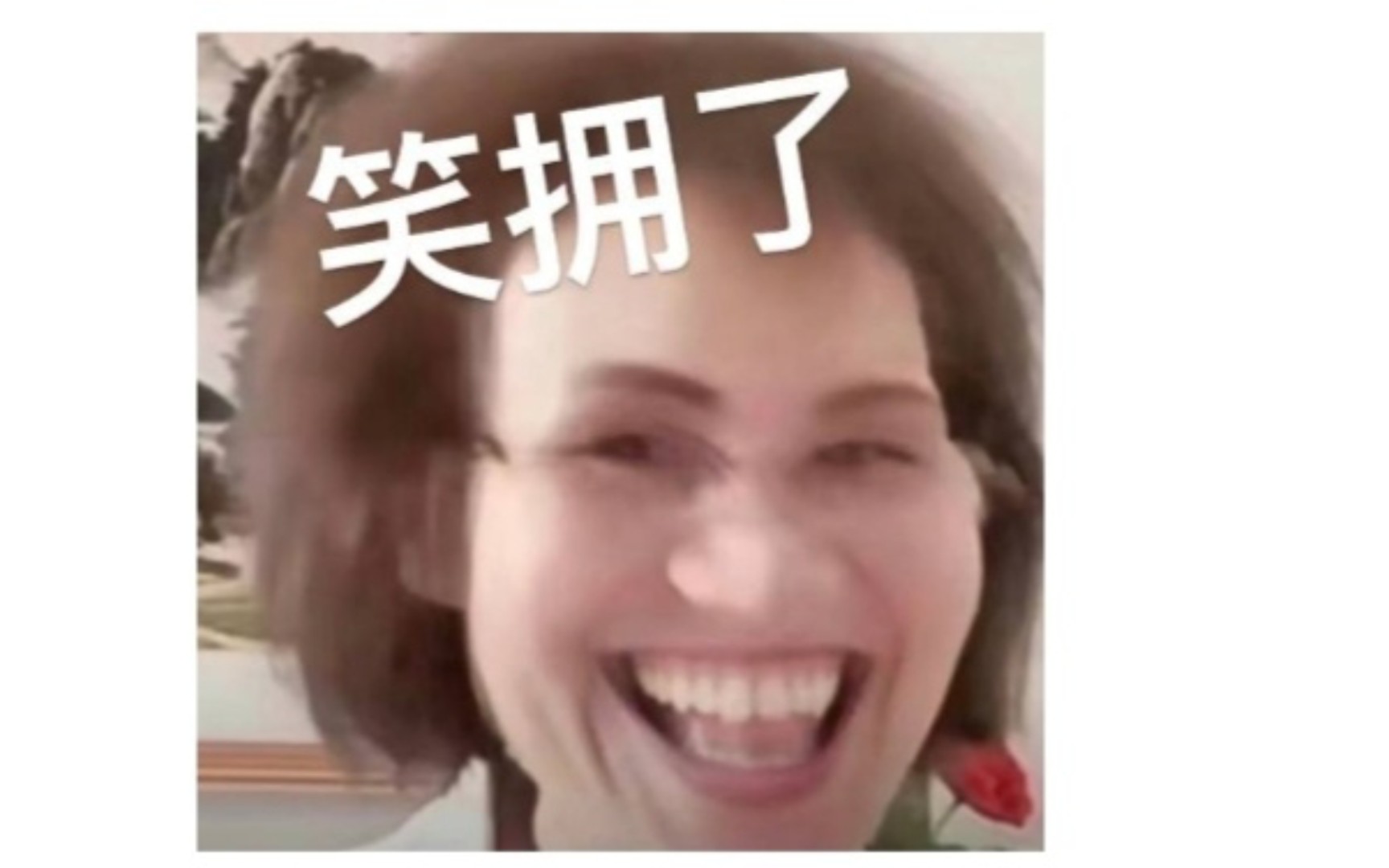 完颜老师:小黑粉给我拱的圆圆的