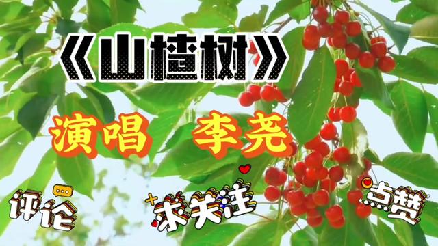 [图]《山楂树》前苏联歌曲，在张艺谋《山楂树之恋》中再次唱起而大火