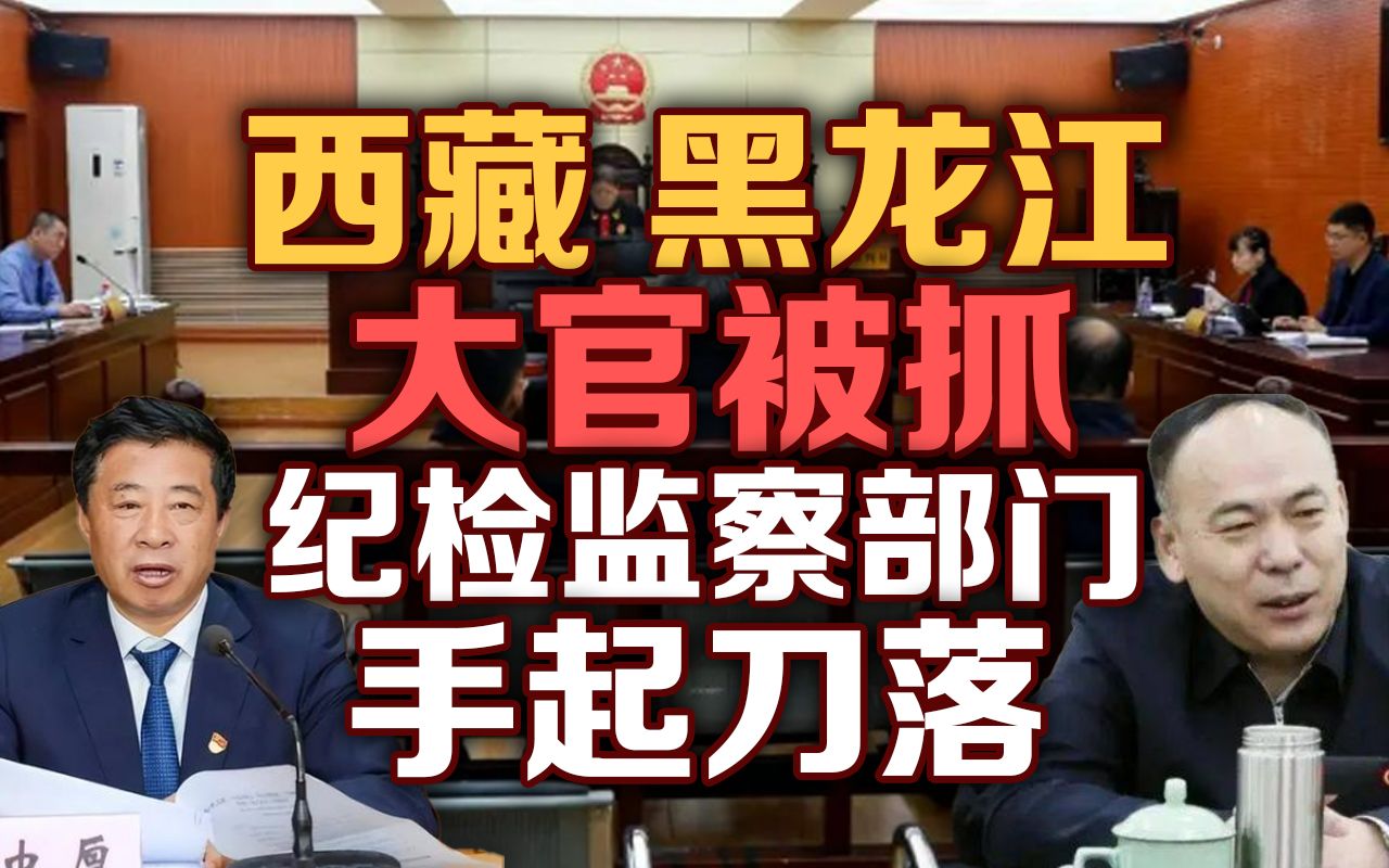 司马南:西藏黑龙江大官被抓纪检监察部门手起刀落哔哩哔哩bilibili