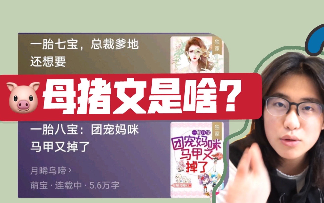 母猪文之一胎十子,女频网文这是怎么了?哔哩哔哩bilibili