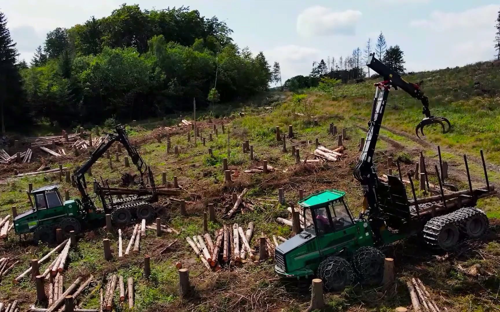 德国现代林场伐木!三秒砍掉一棵树