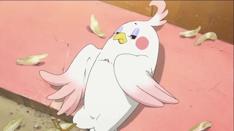 玉子市场的肥鸡吃啥补啥果然是真的这鸡儿经过努力终于变大了