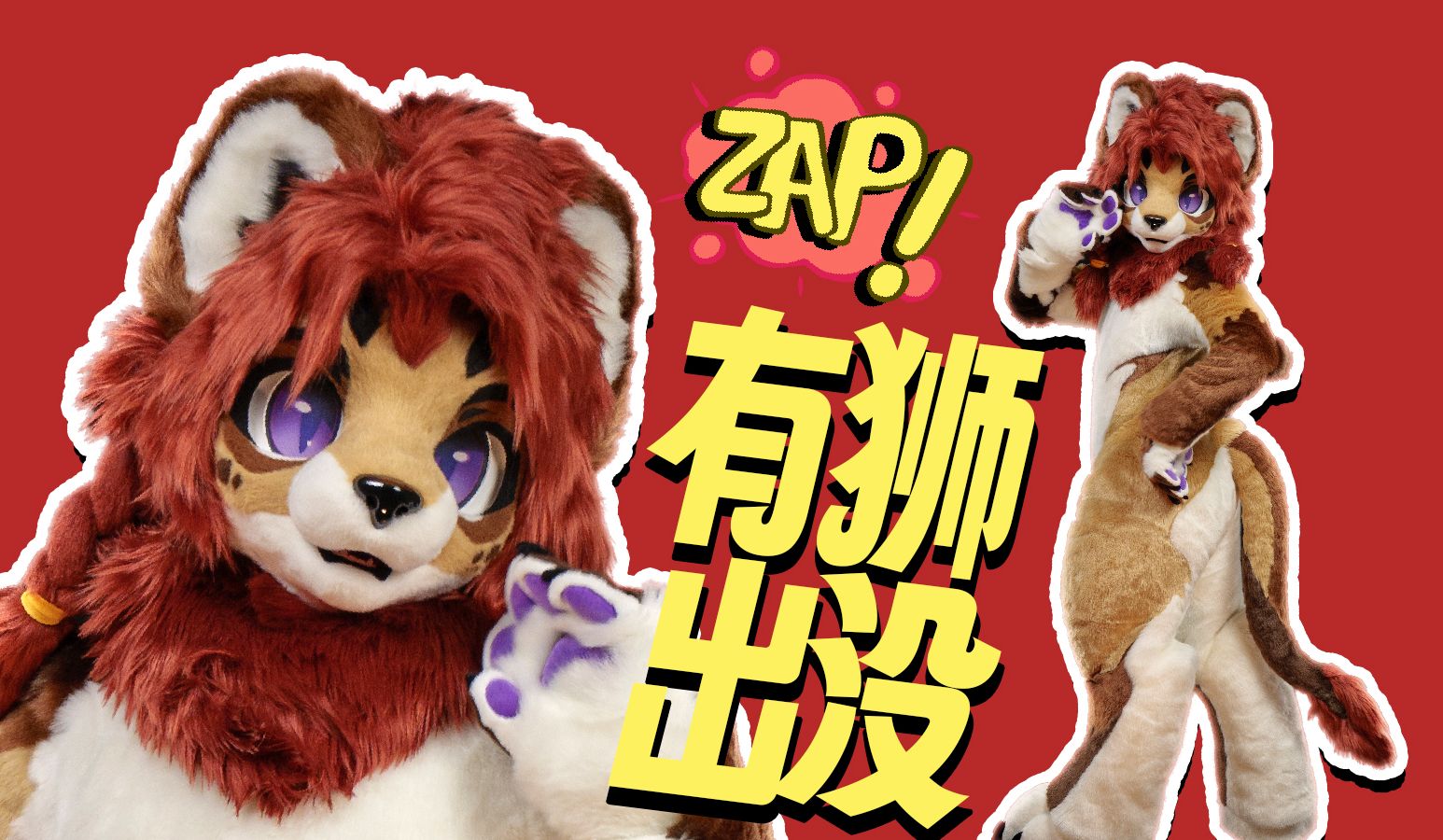 【影棚寻访】Zap!!!有狮出没!哔哩哔哩bilibili