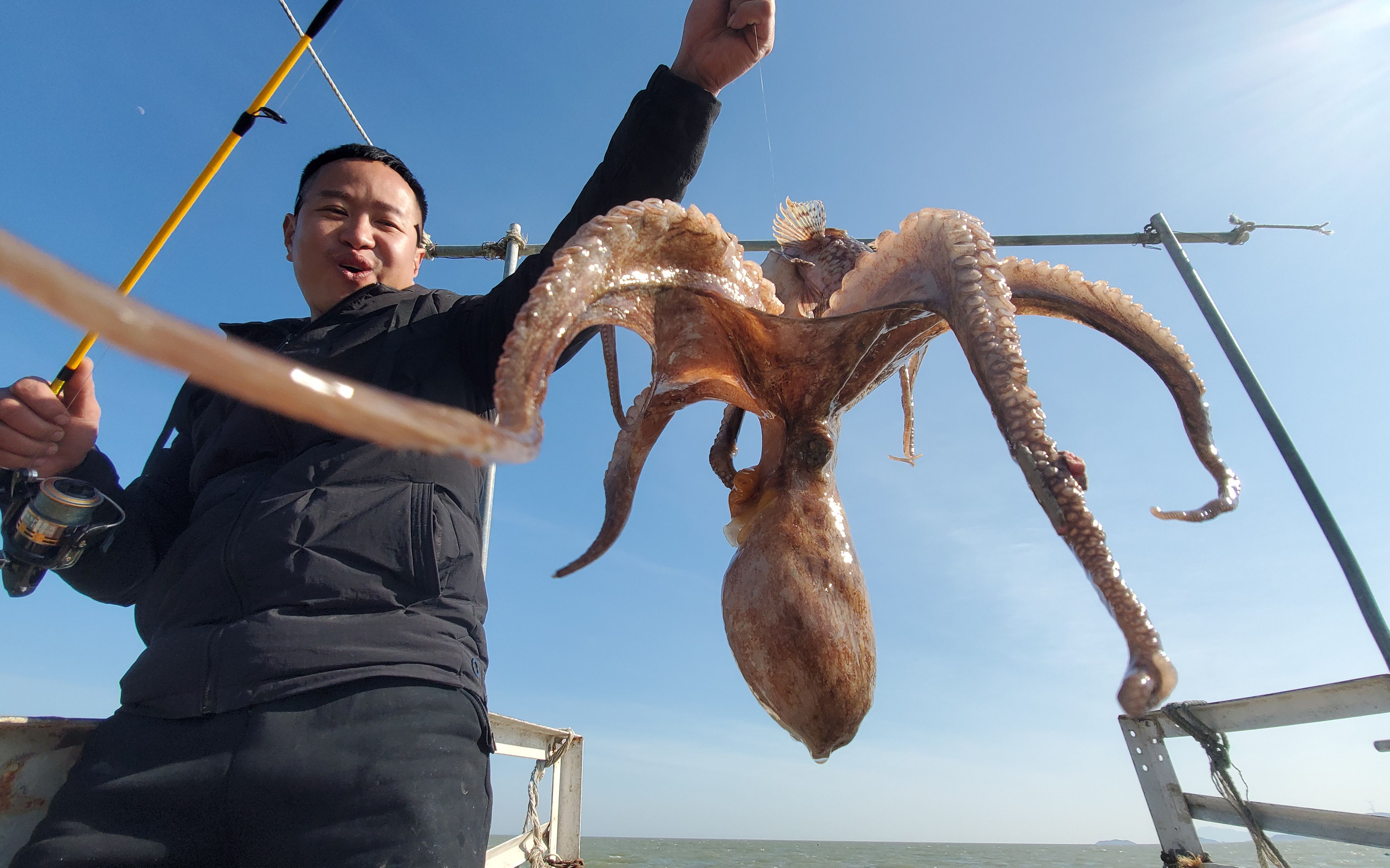 凶猛的八爪鱼捕食石九公却被船上钓鱼的小明"一箭双雕",这事太怪了