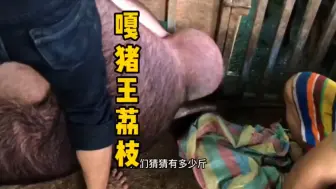 Télécharger la video: 场面太美，不多说了你自己看！！