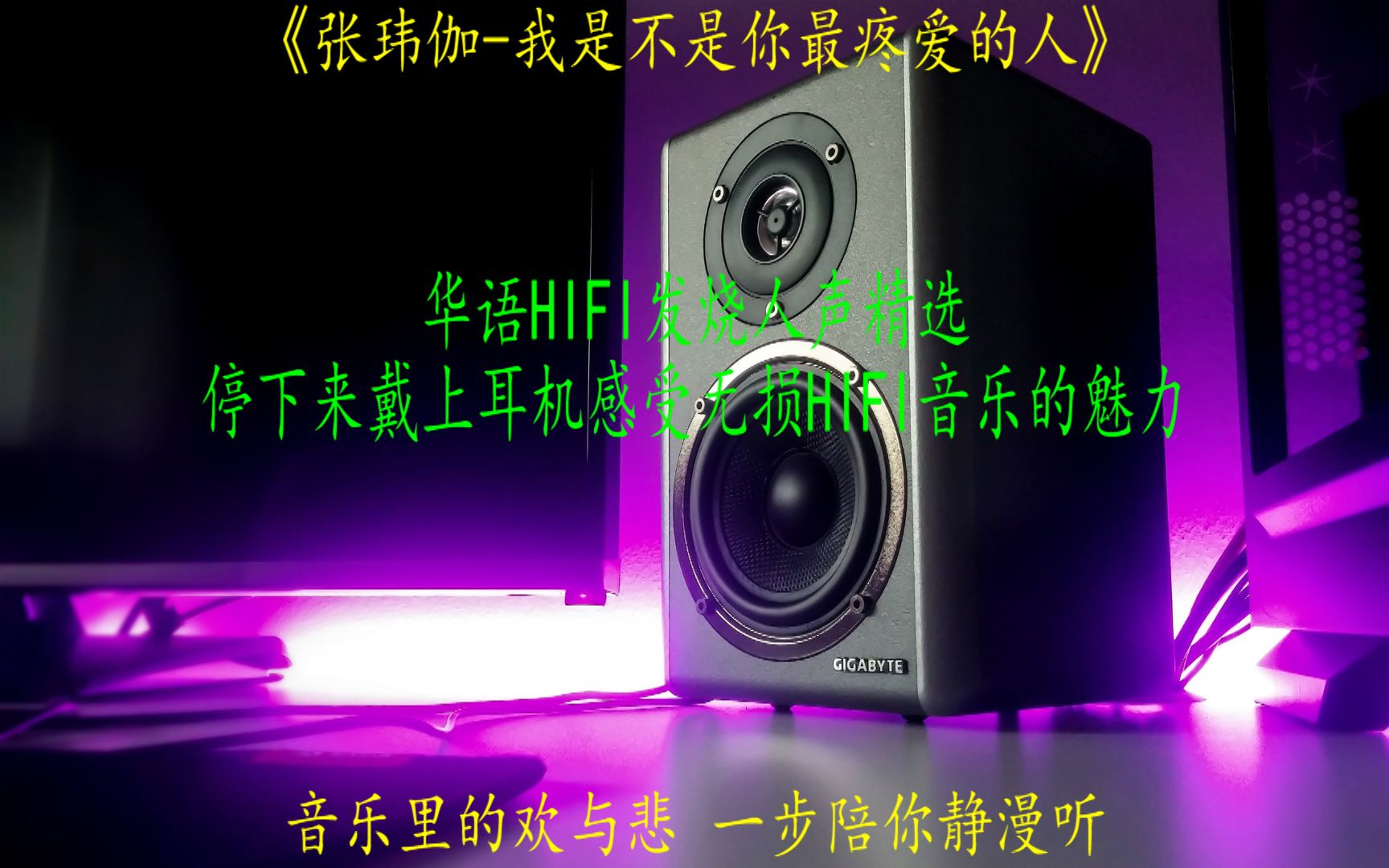 华语HIFI发烧人声精选张玮伽《我是不是你最疼爱的人》哔哩哔哩bilibili