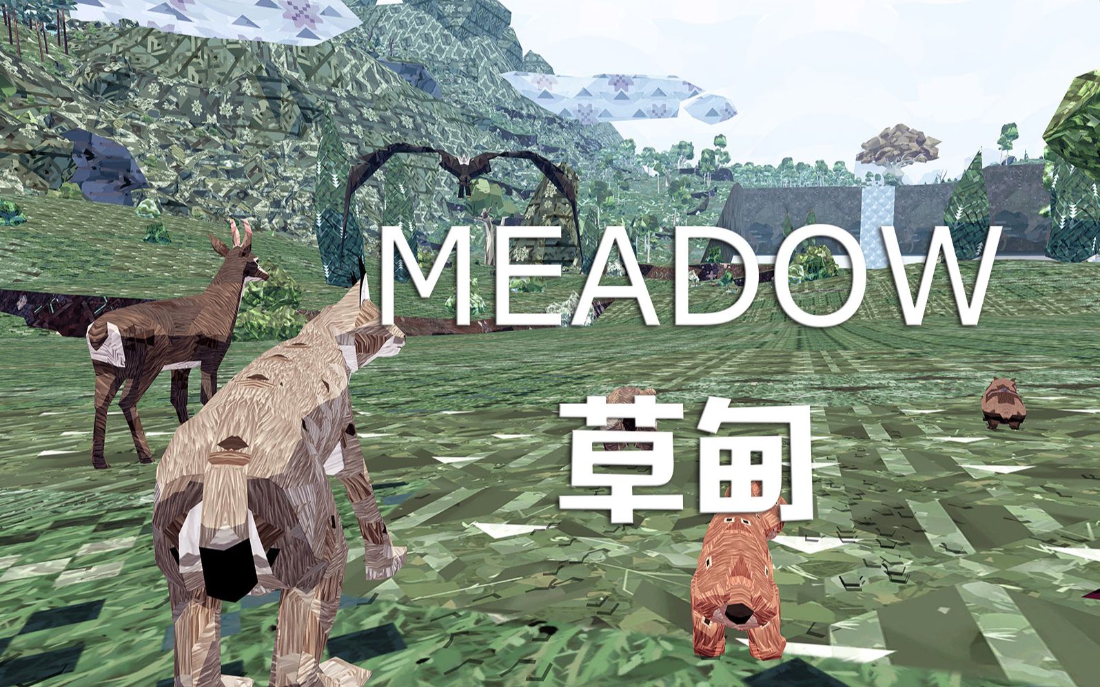 【Meadow草甸】蜜獾小熊历险记哔哩哔哩bilibili