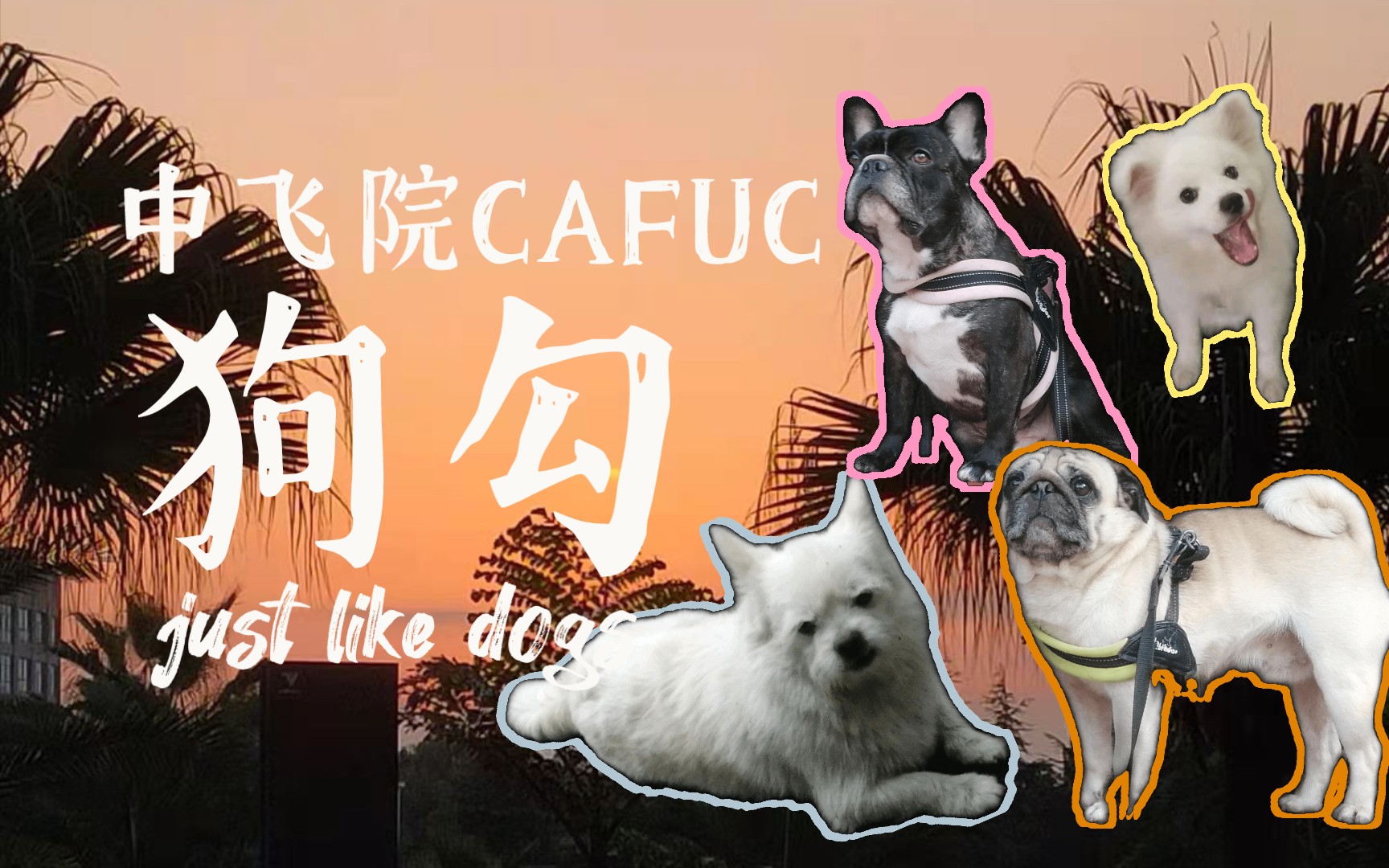 CAFUC | 2021 狗勾合集 校园四狗帮哔哩哔哩bilibili