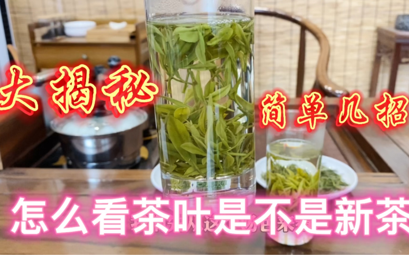 新手必看:怎么看茶叶是不是新茶?陈茶与新茶的区别?哔哩哔哩bilibili