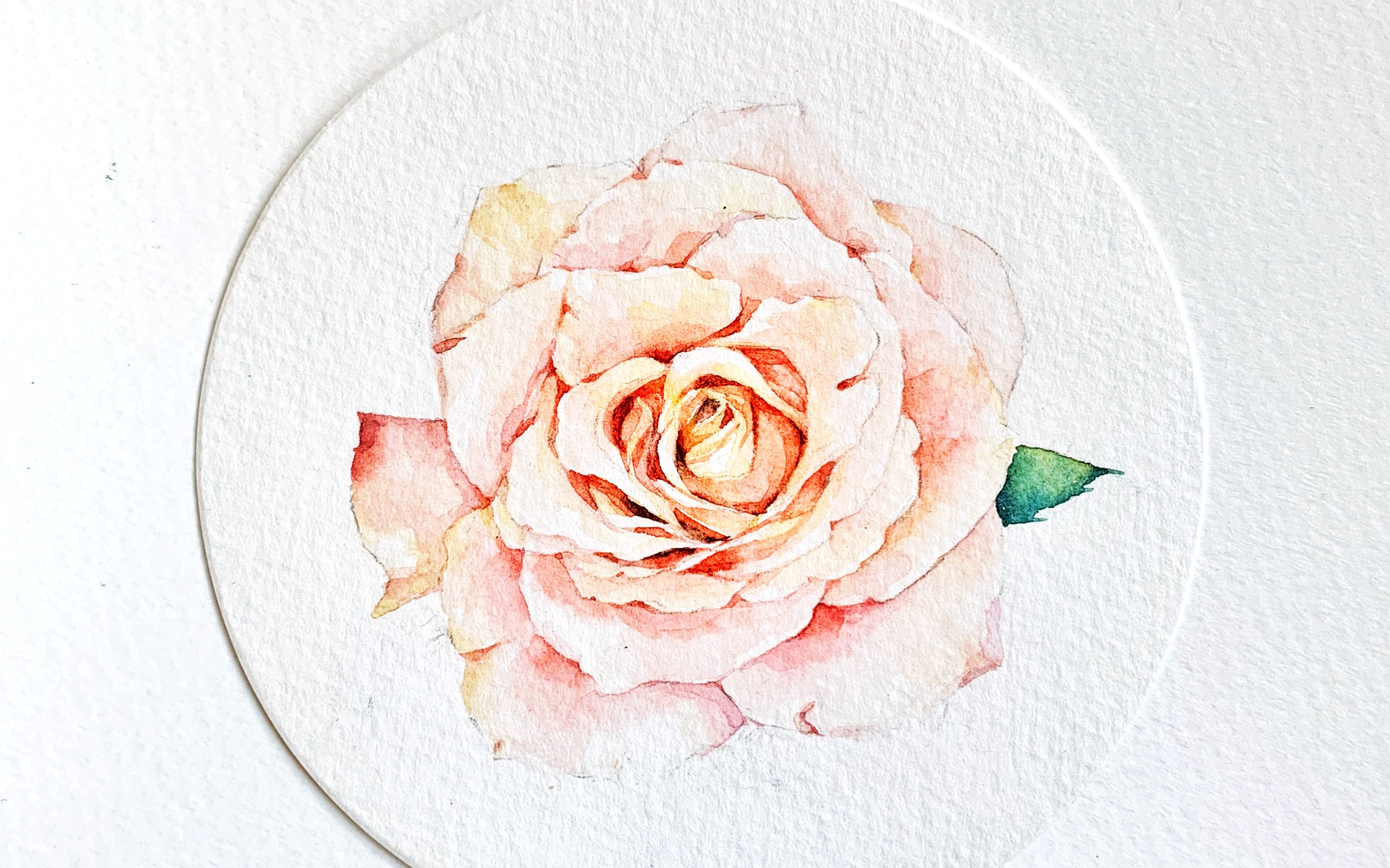 活动  【水彩】圆形纸花卉绘画过程快放