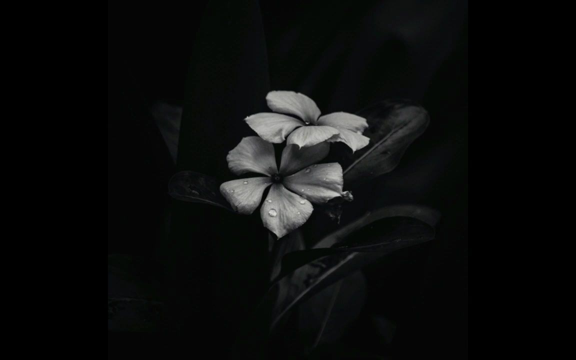 墨西哥后/抑郁黑 sáasil - ephemeral (full album 2023)