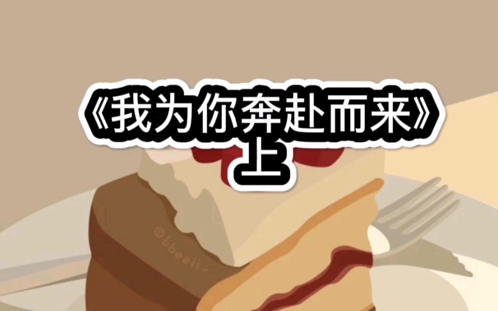 书名:《我为你奔赴而来》