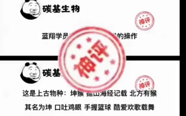 保险公司都为他们捏一把汗哔哩哔哩bilibili