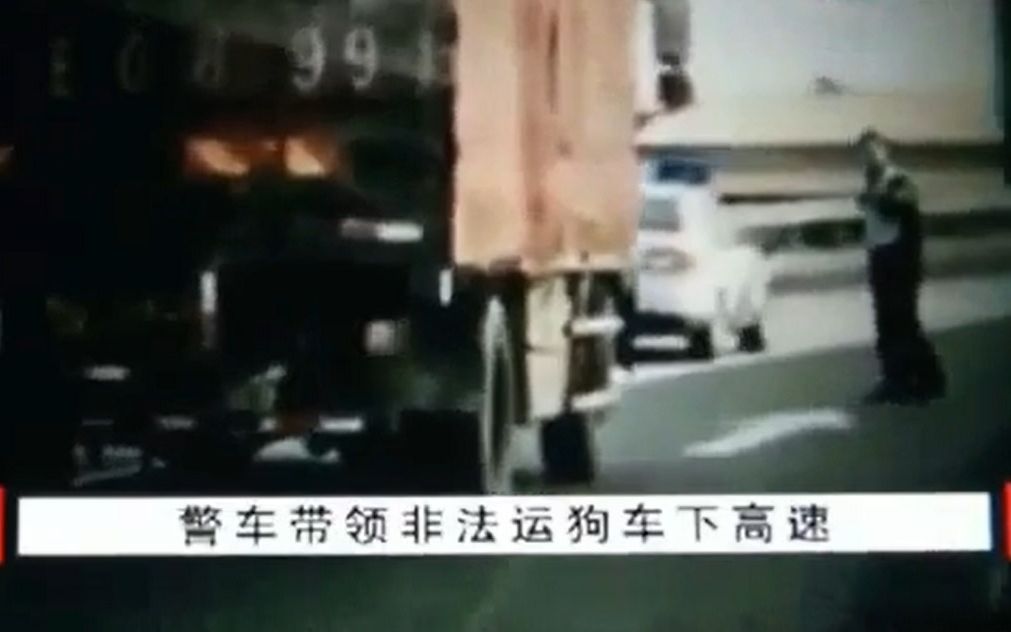 [图]警察叔叔救了狗狗